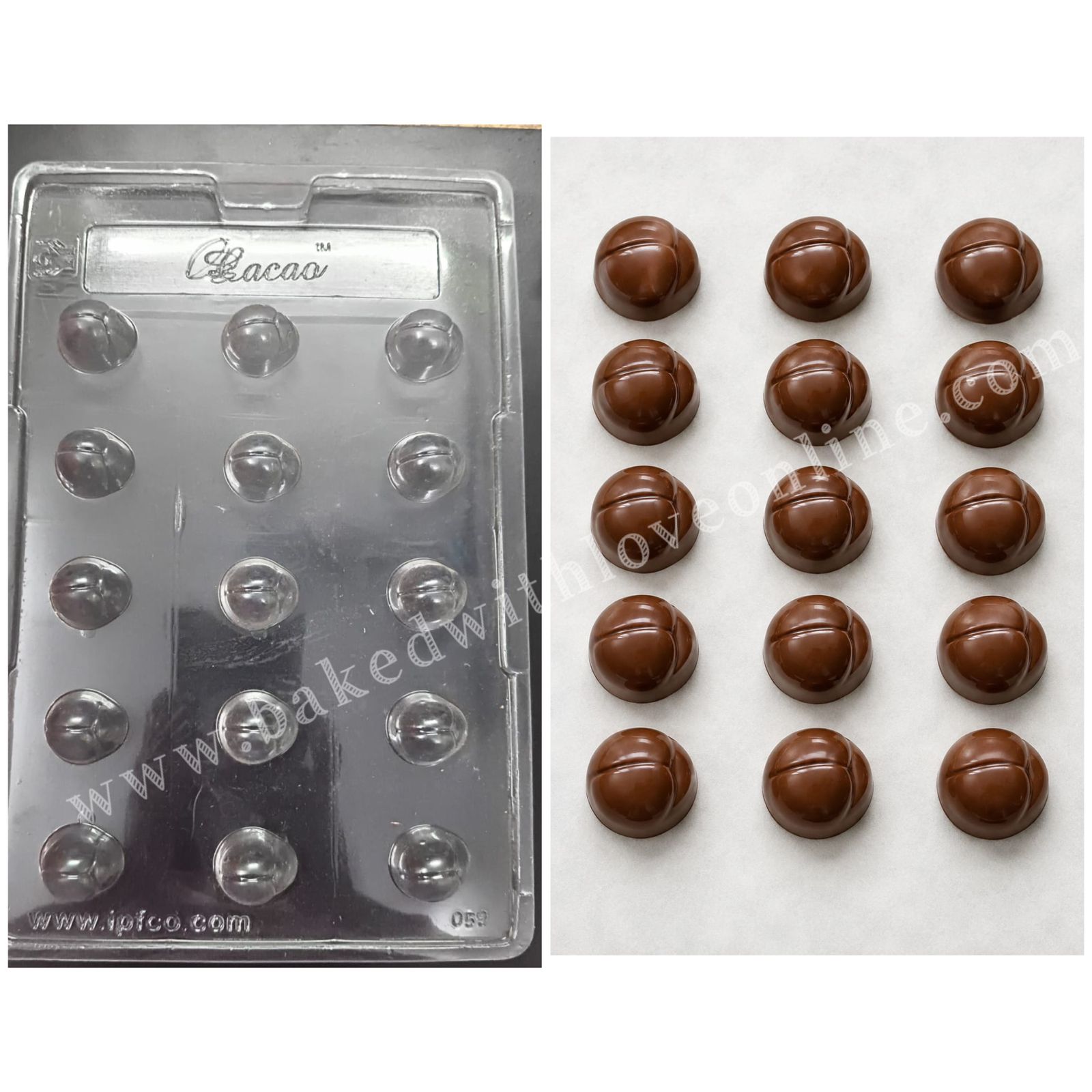 15 CAVITY LADYBUG INSECTS PVC MOULD