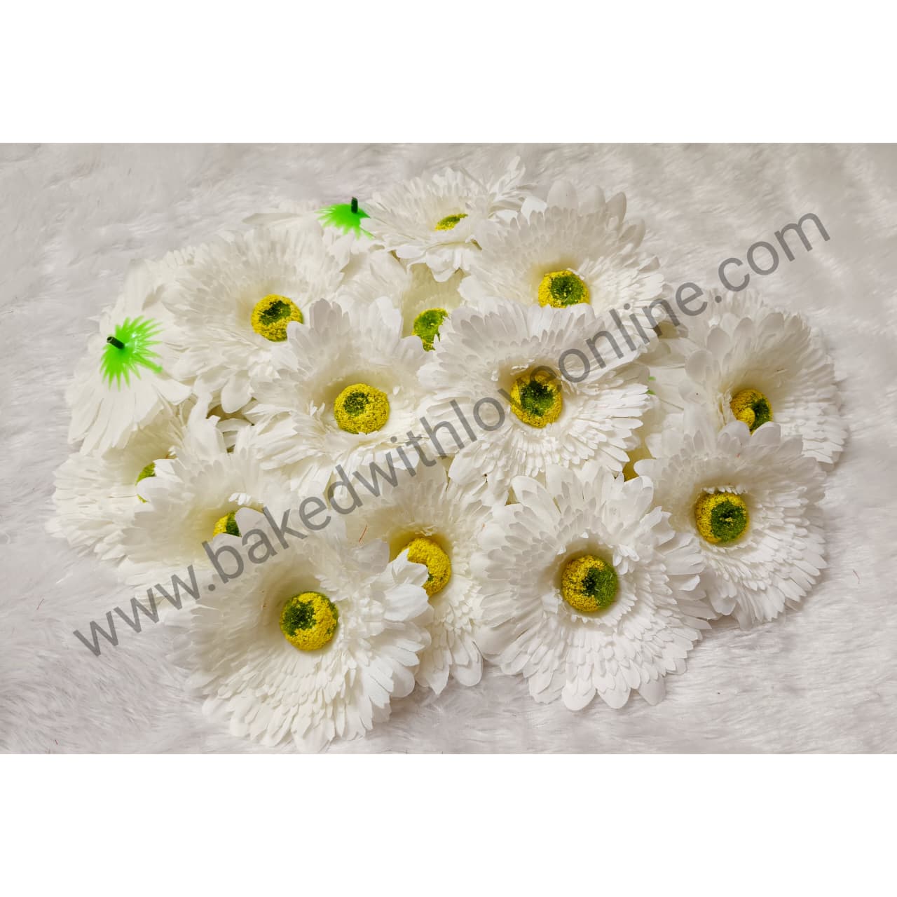 WHITE GERBERA DAISY FLOWER
