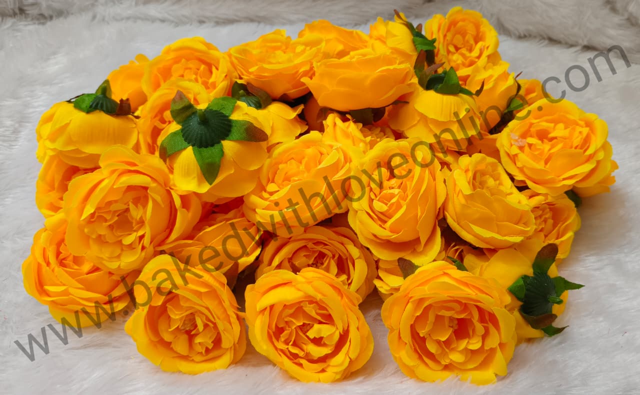 YELLOW PEONY FLOWER