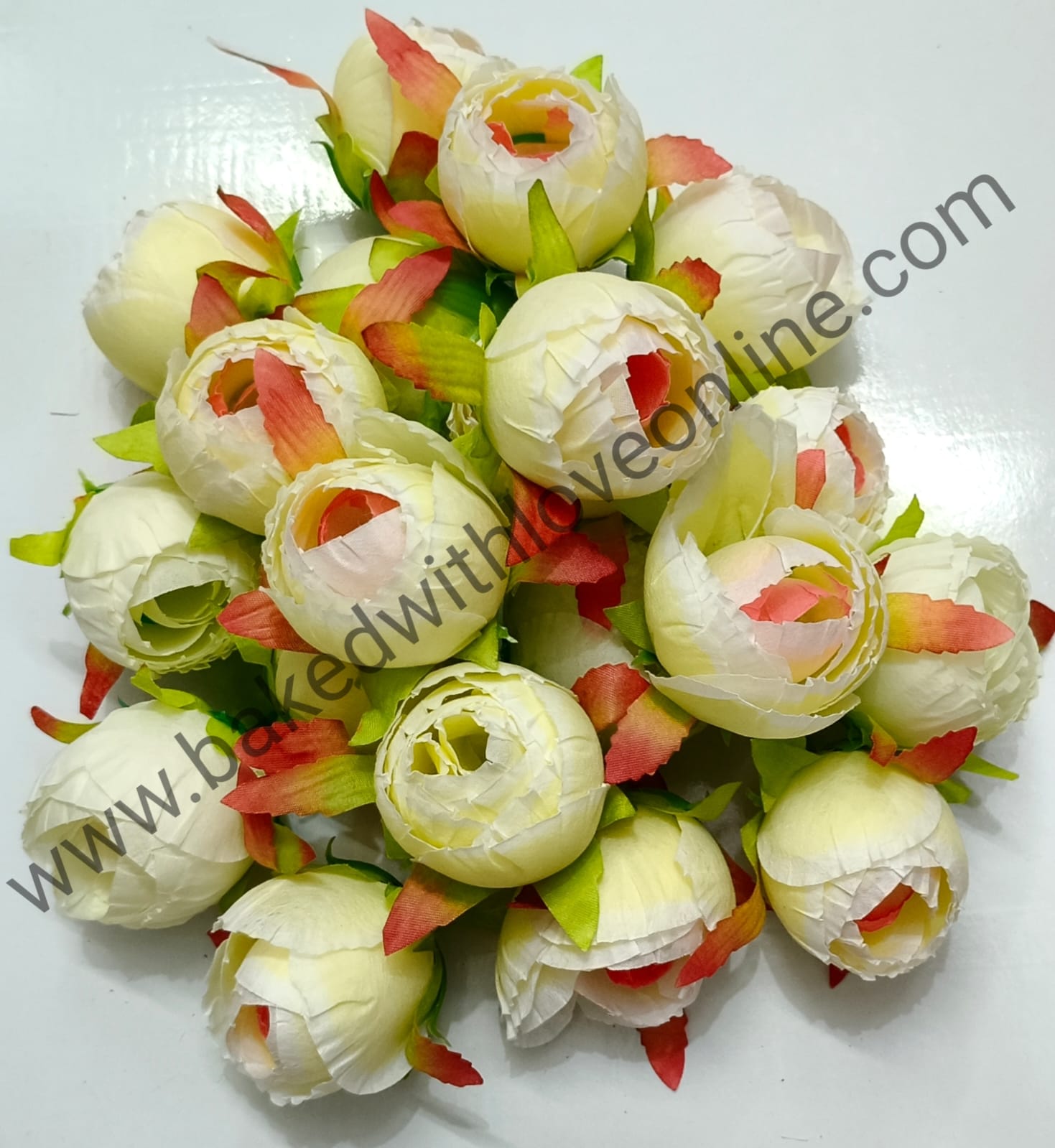 LIGHT YELLOW PEONY FLOWER