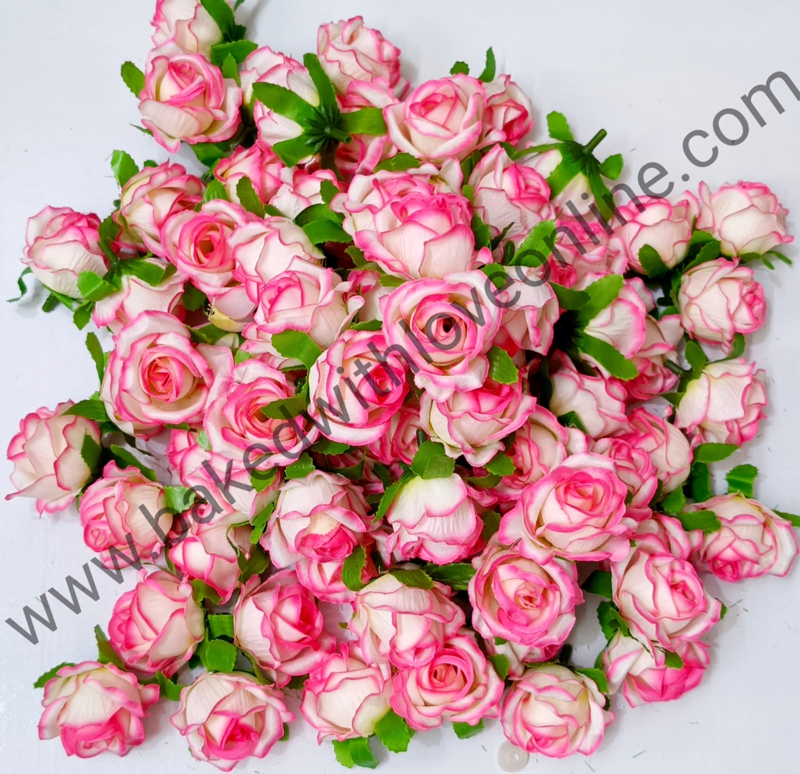 MINI ROSE PINK & WHITE  FLOWER