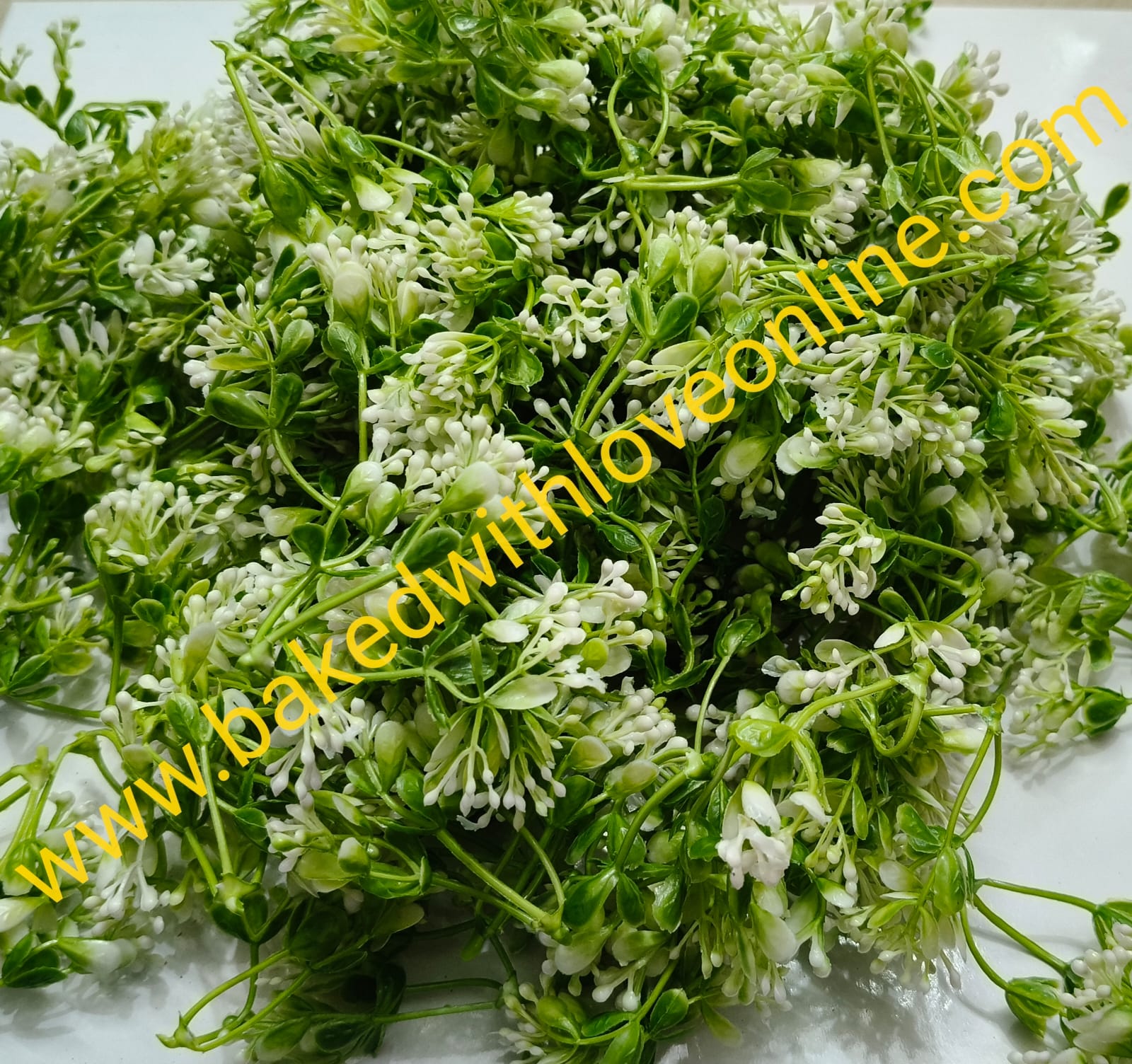 NEEM FLOWER