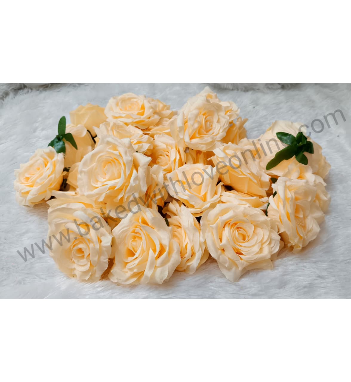 BIG SOFT PEACH ROSE FLOWER