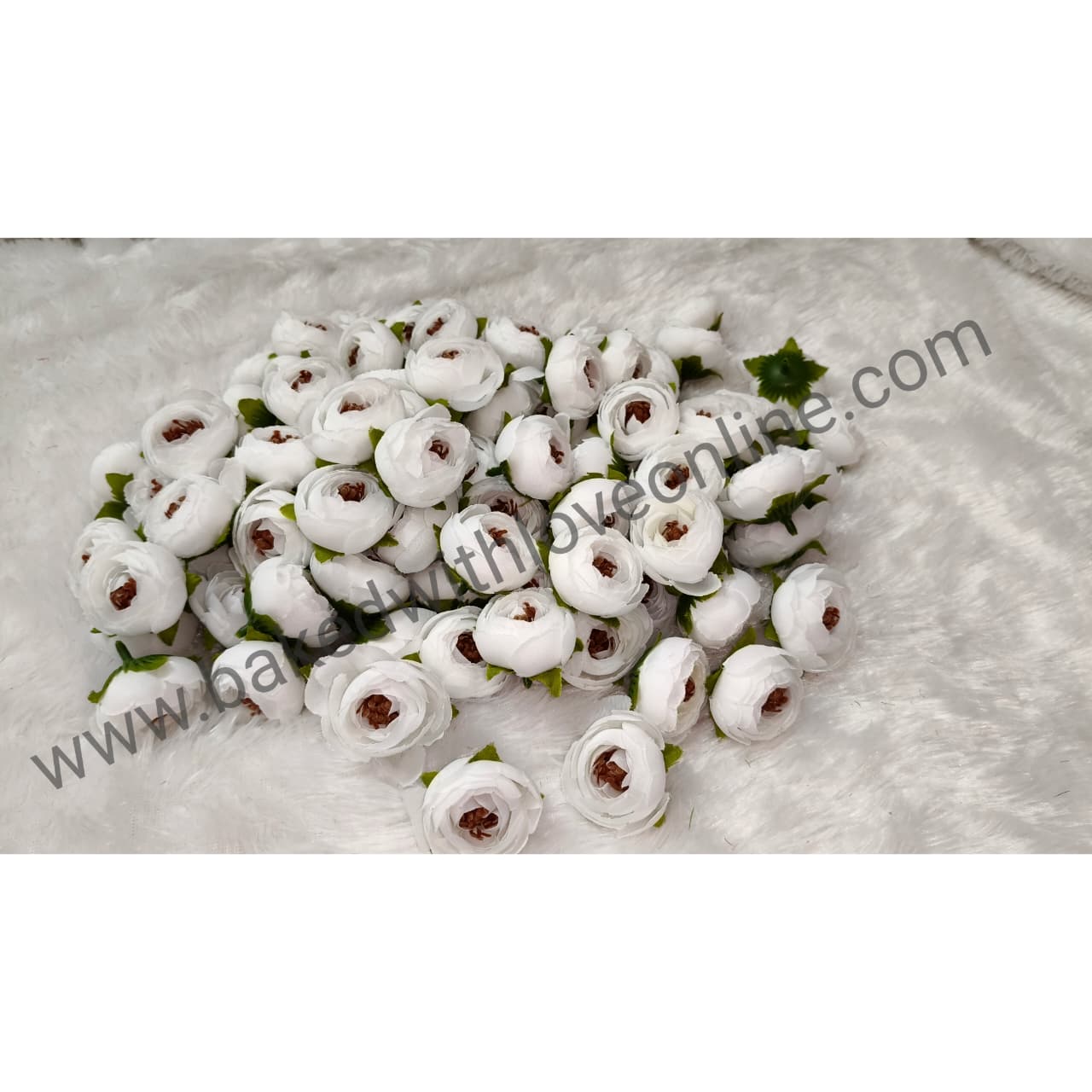 WHITE PEONY FLOWER